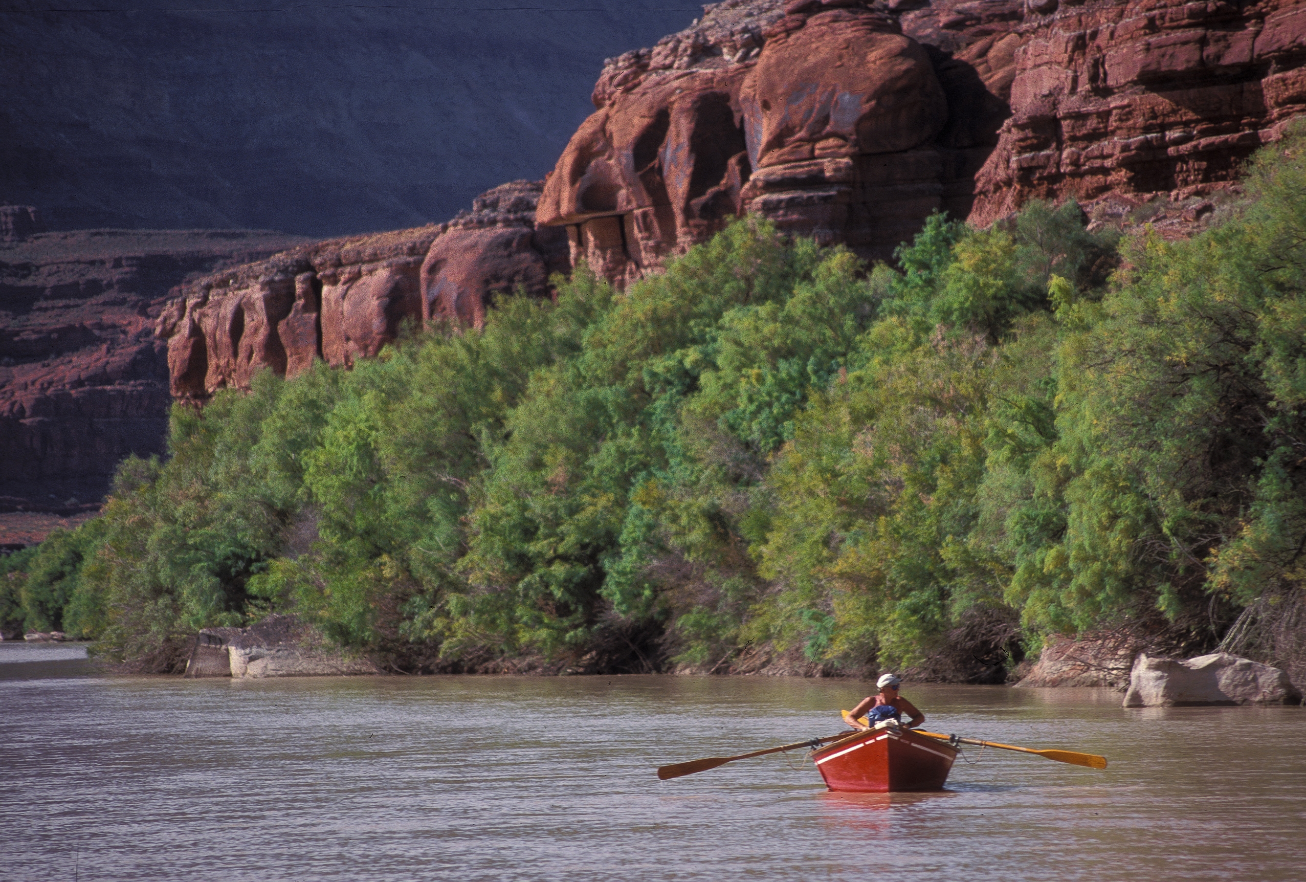 red dory on the Colorado River person oaring a red dory on a calm river, green vegetation and red stone cliffs in background