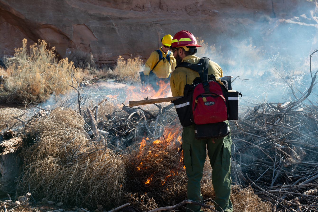 Two male park rangers dressed in bright yellow fire jackets and red and yellow helmets supervise a large pile of burning vegetation.