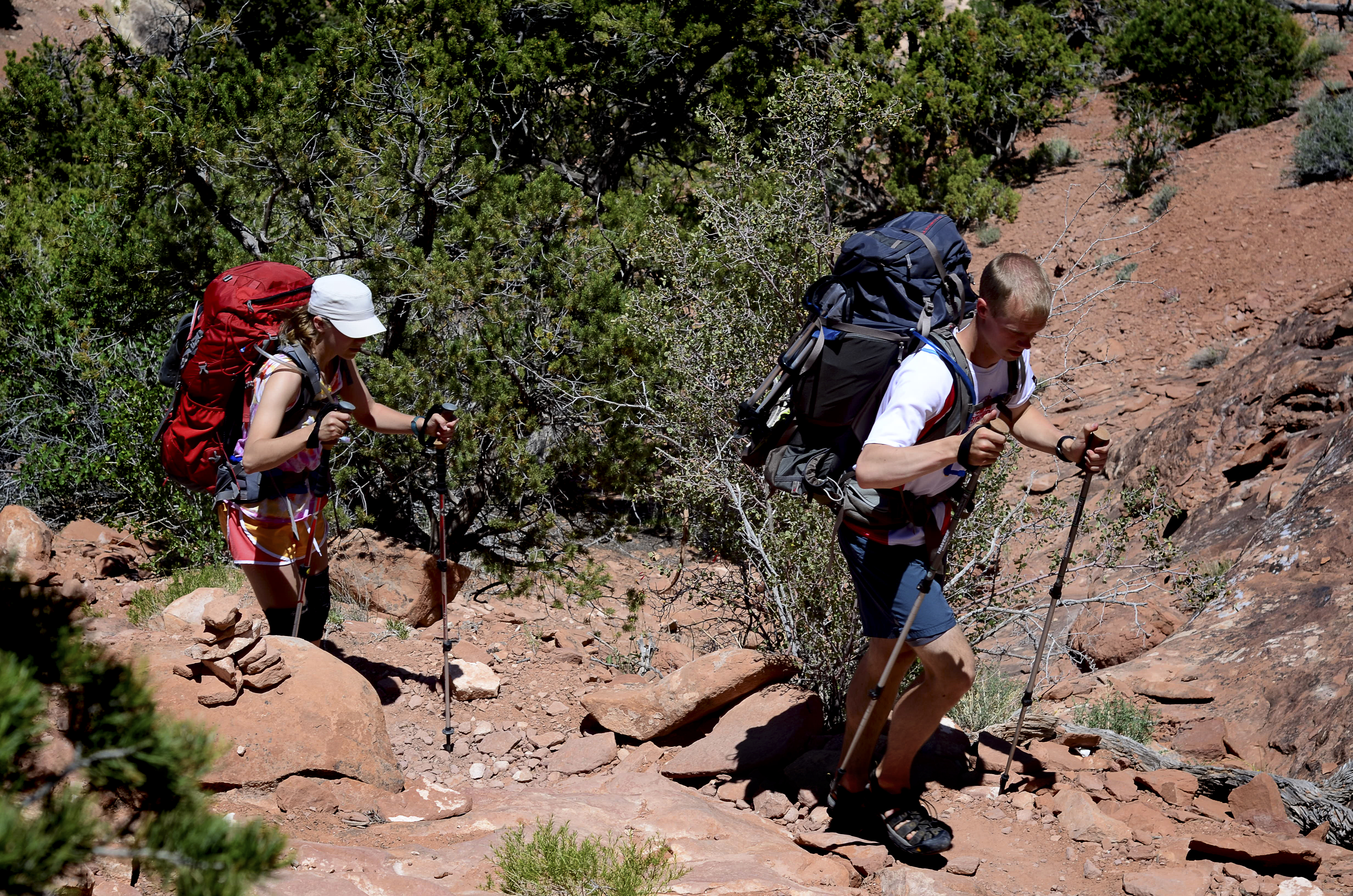 Two hikers wearing summer clothes and large backpacks hike along a desert trail surrounded by pinyon trees. Two hikers wearing summer clothes and large backpacks hike along a desert trail surrounded by pinyon trees.