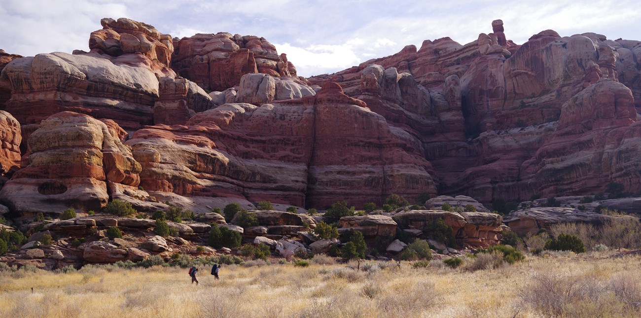 Hikers in a meadow in front of large sandstone formations