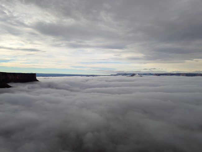 Fog covers a desert landscape. Tall canyon walls are barely visible higher than the clouds. Sky is gray above.
