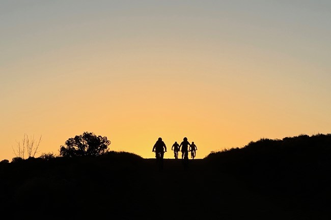 Bicyclists riding silhouetted at dawn