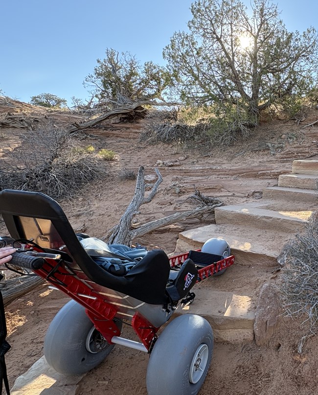 all-terrain wheelchair climbs a trail's rock steps amidst desert vegetation