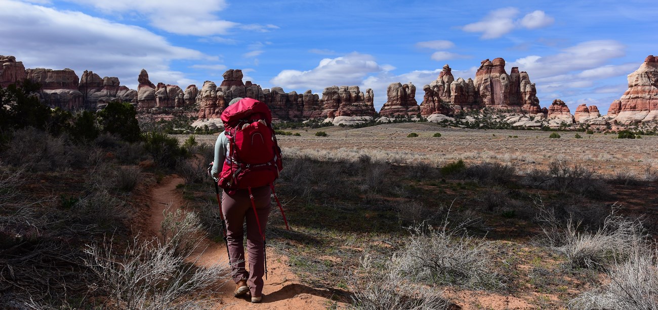 Person with a red backpack hiking through a meadow with rock formations