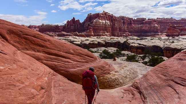 Person with a red backpack stands hiking into a canyon