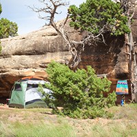 a green tent beneath a tree and a red rock cliff