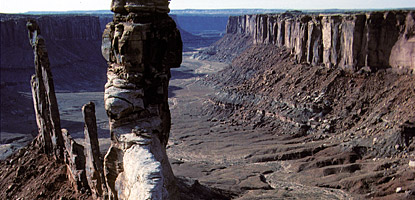 Towers of Wingate Sandstone in Taylor Canyon Towers of Wingate Sandstone in Taylor Canyon