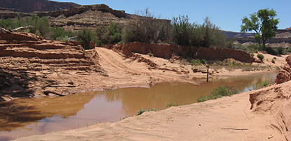 Flooing in Upheaval Wash