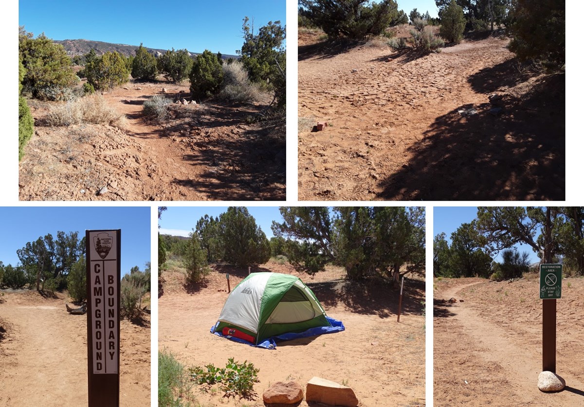 Five photos showing before and after of campground project