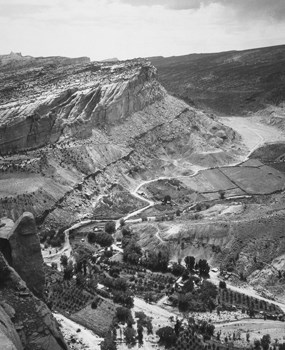 View of Fruita in 1931 View of Fruita in 1931