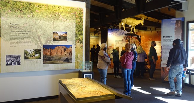 Several people looks at visitor center exhibits and displays including a model of a bighorn sheep.
