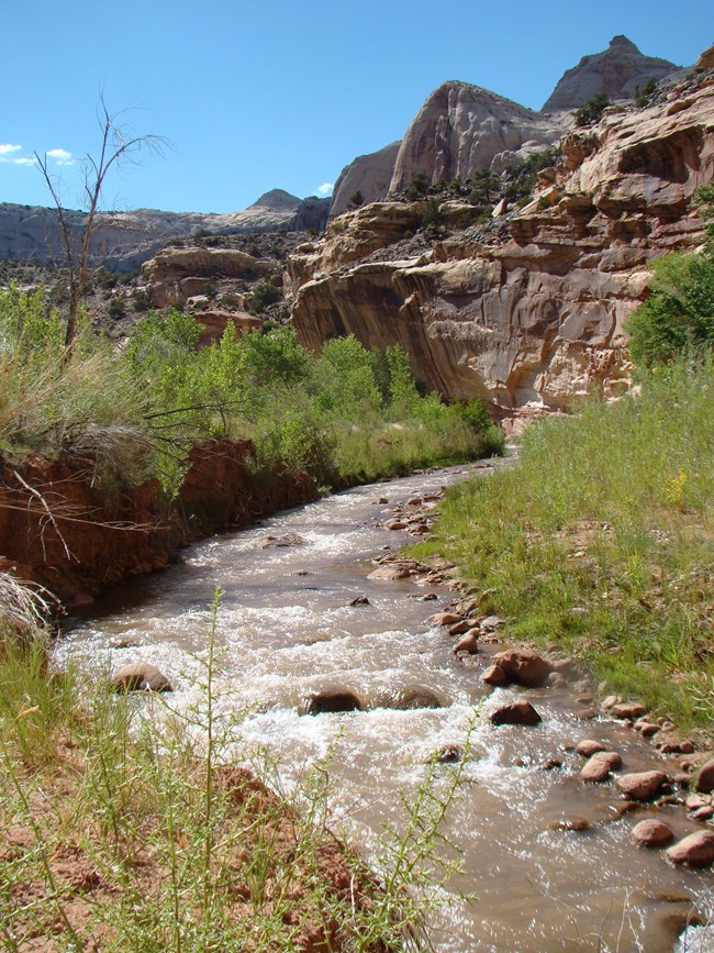 Sparkling water flowing below colorful cliffs, beside banks of green vegetation, and blue sky above.