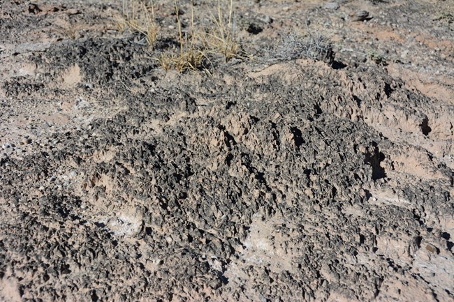 Black, jagged and crusty looking bumps on ground, with some grass growing nearby.