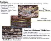 Significance and Three lines of evidence