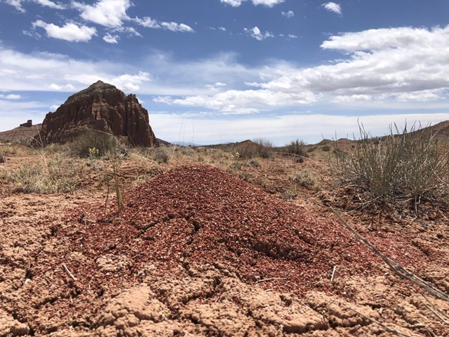 Mound of small red stones surrounded by dry grasses and blue cloudy sky above.