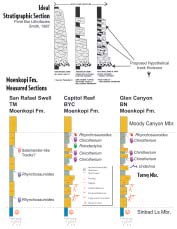 Stratigraphic measured sections of Glen Canyon NRA and Capitol Reef NP and Smith's Model of "Meandering River Estuarine Systems"