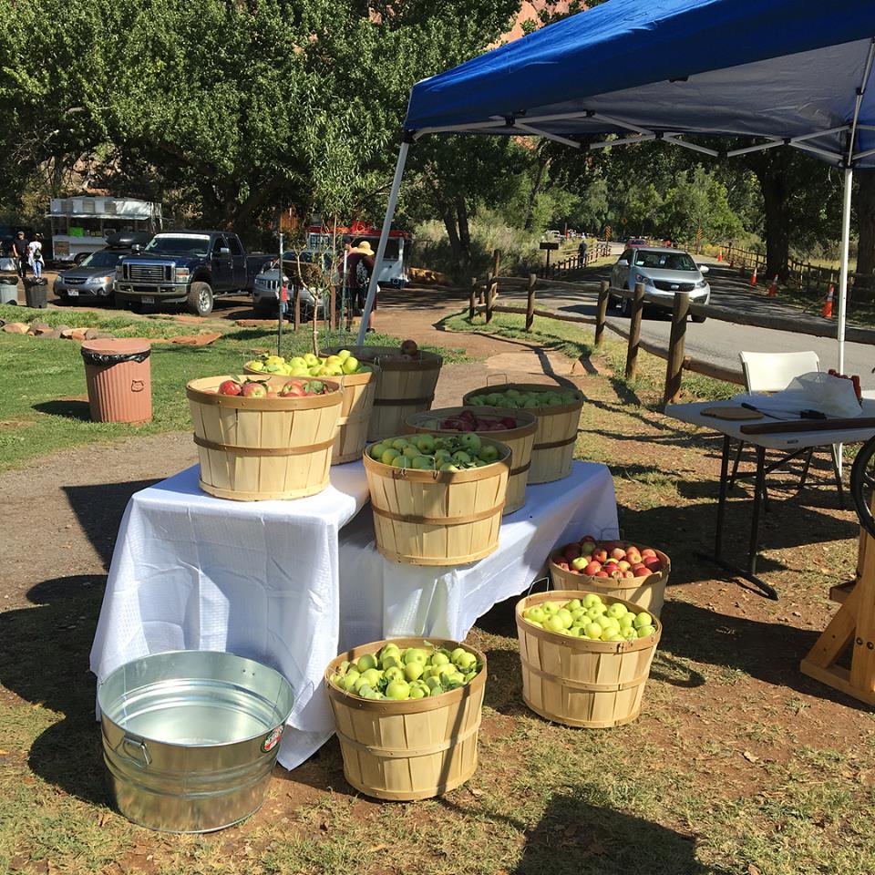 Wooden buckets of red and green apples on a table and on the ground, beside a blue tent.