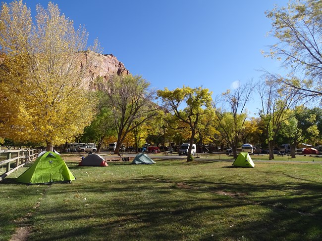 Tents and RVs camping in a campground with green grass, trees with fall colors, below red cliffs and blue sky.