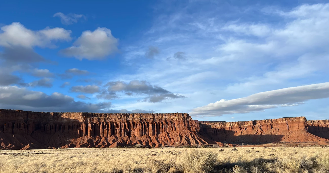 Capitol Reef Red rock cliffs at Capitol Reef National Park under a blue sky with scattered clouds, with golden desert grass in the foreground and soft light highlighting the sandstone formations.