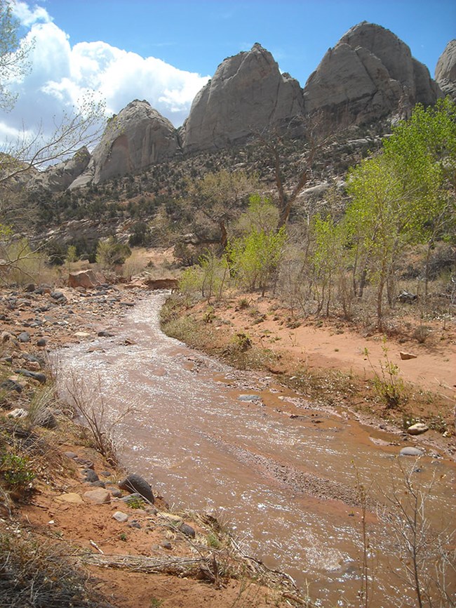 Pleasant Creek - Capitol Reef National Park (U.S. National Park