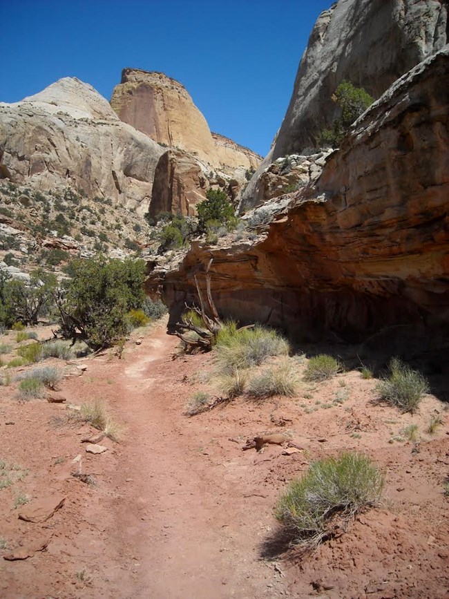 Large rock monoliths along a dirt trail.