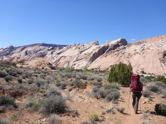 Person with red backpacking pack hiking on trail with some small green trees, grasses, and shrubs, and a line of uplifted red and white cliffs below blue sky.
