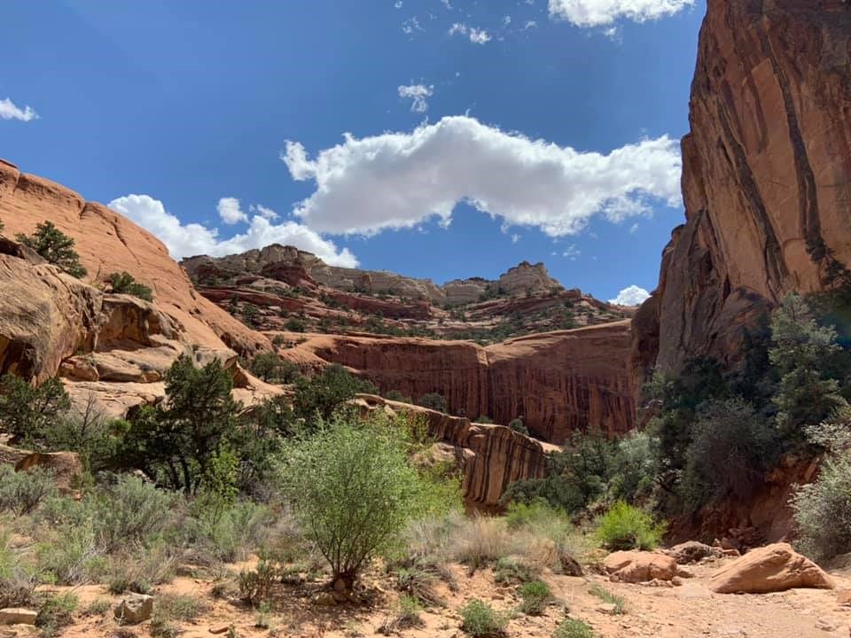 Deep canyon with green vegetation, striped rock faces, and blue sky with a few clouds above.