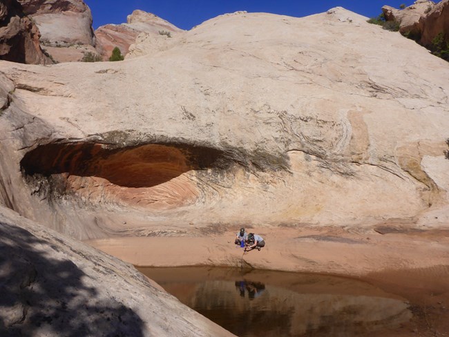 Two people wearing NPS uniforms filter water from a large depression holding water in colorful sandstone.