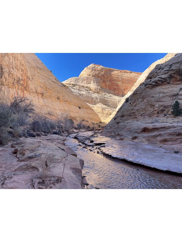 Tall Navajo sandstone walls tower over a creek with an icy shelf