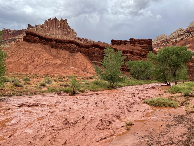 Muddy waters flow in waves along Sulfur Creek past brown sandstone walls.