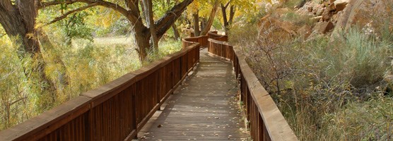 Petroglyph Panel boardwalk along wingate sandstone cliffs and surrounded by cottonwoods Petroglyph Panel boardwalk along wingate sandstone cliffs and surrounded by cottonwoods
