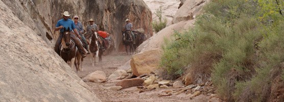 Horseback Riding