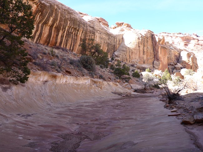 Canyon with black and tan striped cliffs, a sloped sandstone floor, some trees and grass, and blue sky above.