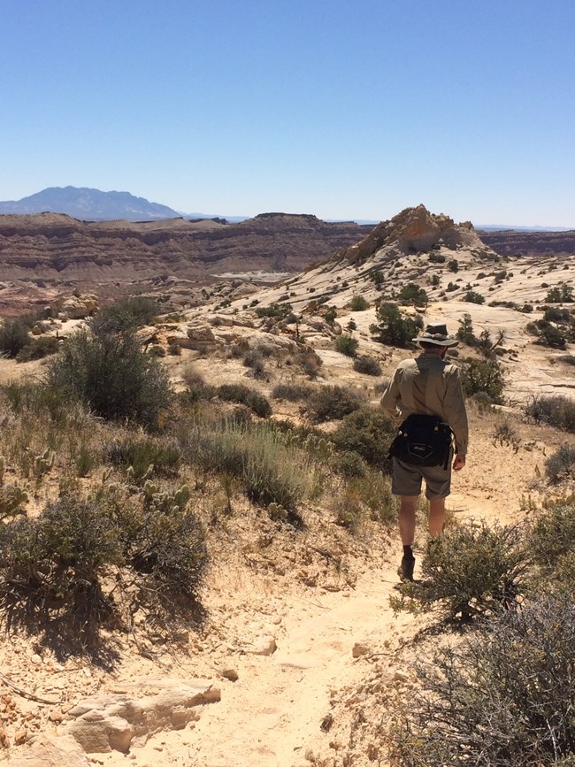 Hiker on path with views of mountains, vegetation, and blue sky.