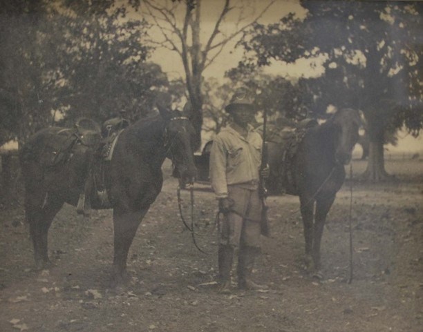 A man stands with two horses.