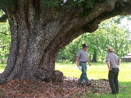Ron and Jarred by tree Ron and Jarred by tree