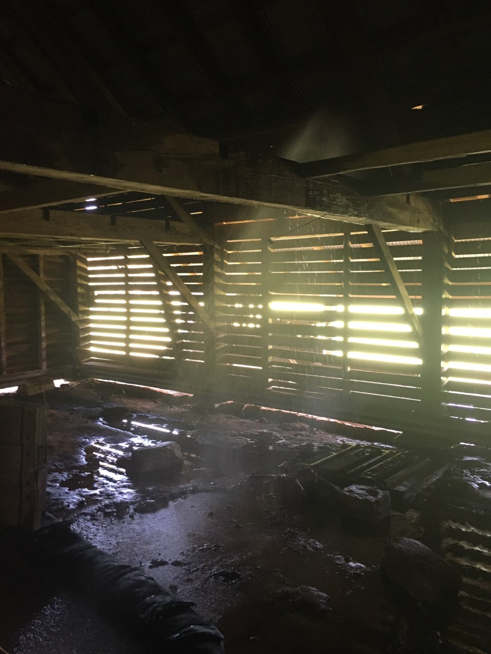Magnolia Gin Barn Water sprinkles in from the damaged roof onto a muddy concrete floor. Sun shines through the missing roof panels.