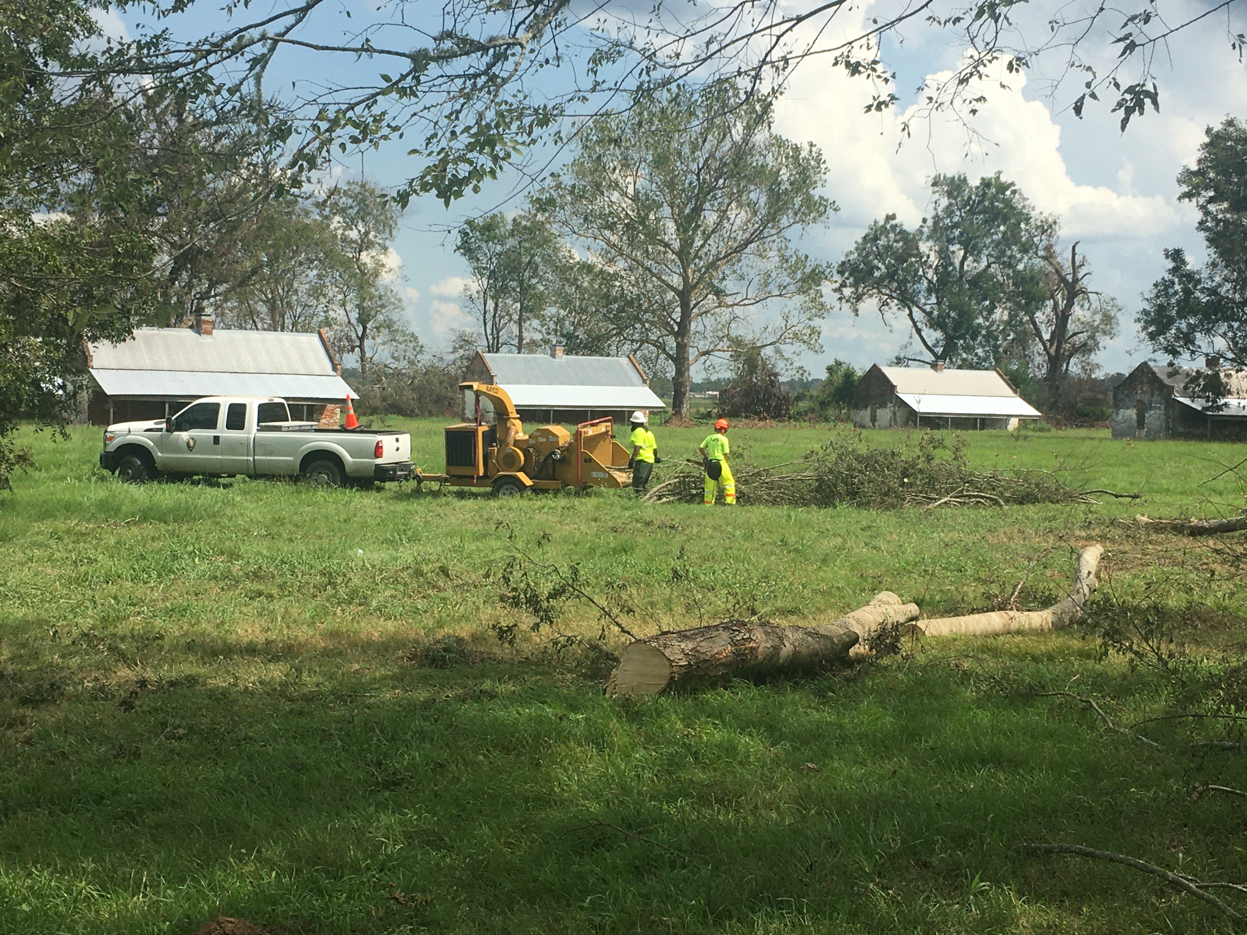 Workers clear downed trees and debris from in front of the brick slave/tenant cabins.