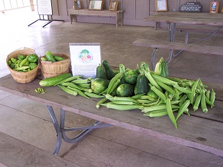 Veggies Veggies
