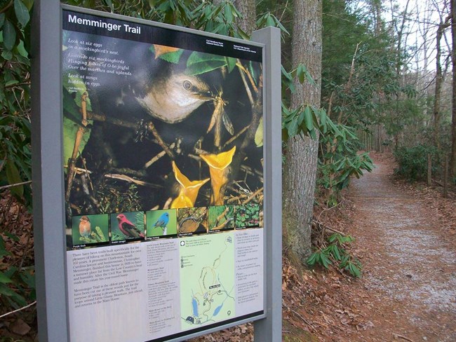 A trail side with a bluebird and information invites exploration on a wooded trail