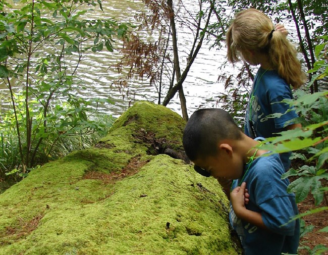 Two children use a magnifying glass on a moss covered log