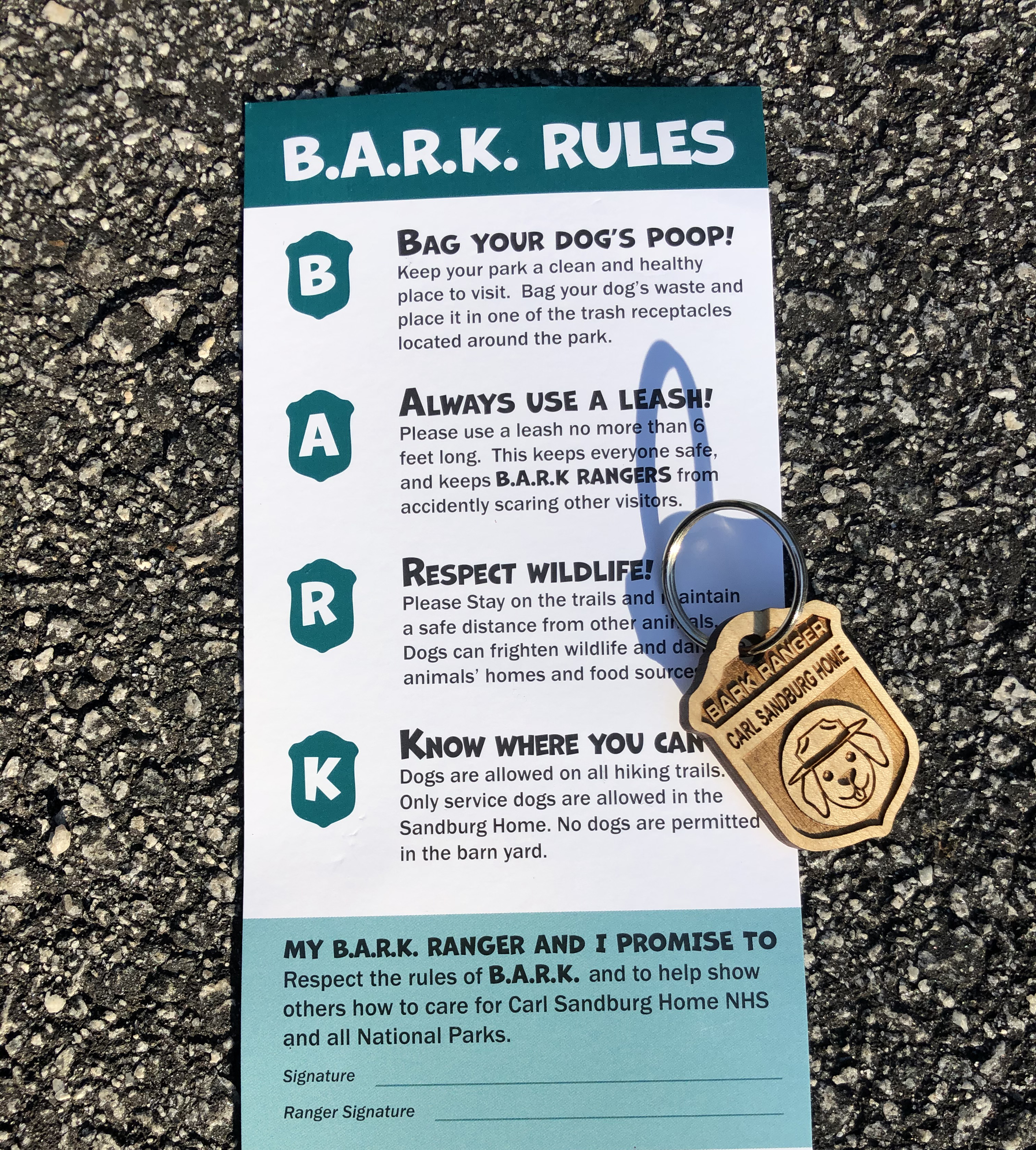 BARK Ranger pledge and badge Image of a small brochure with a BARK Ranger dog tag laying nearby