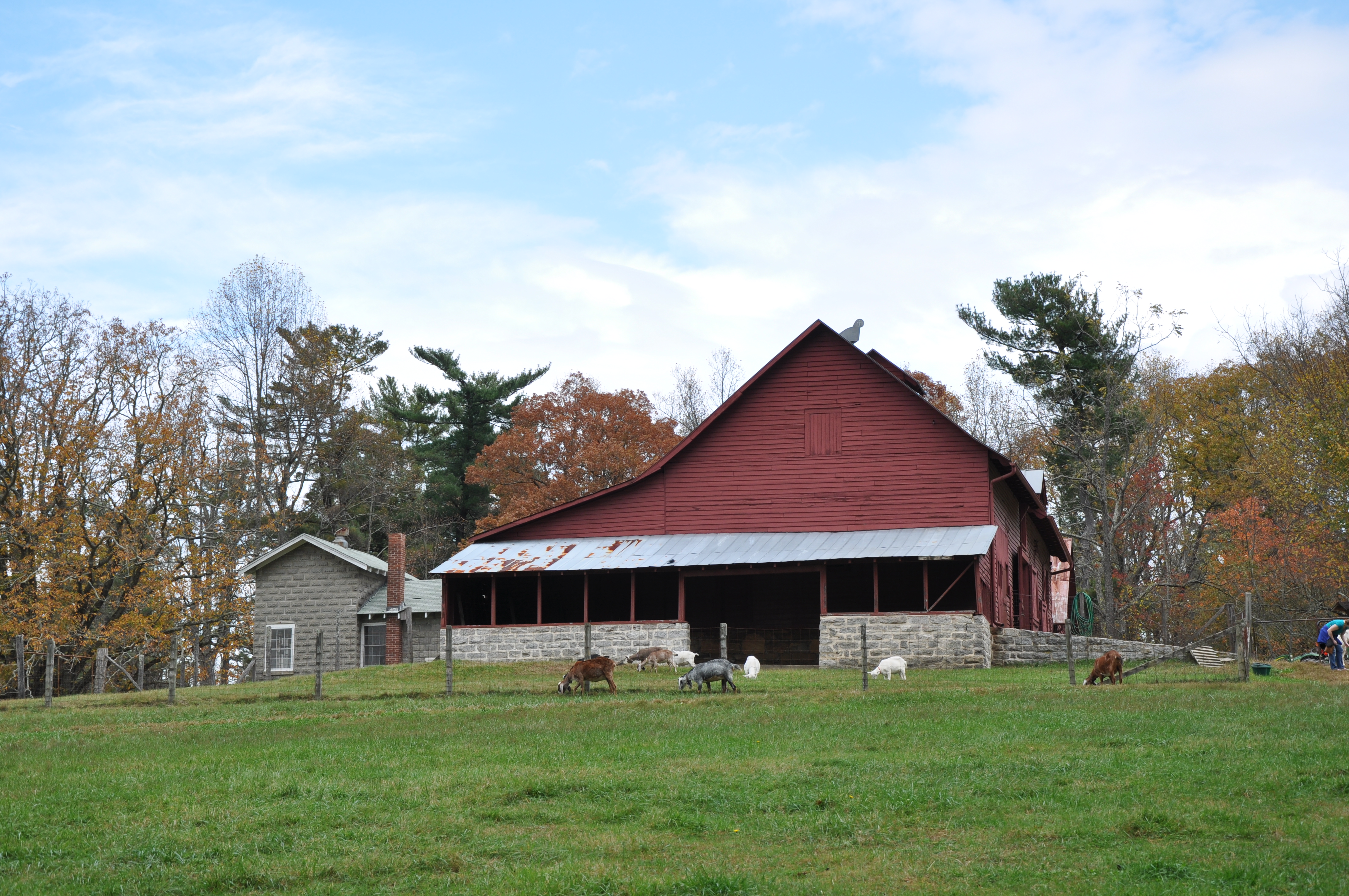 Red barn on the hillside with goats grazing