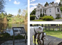 Three thumbnail views of the park; entrance, house and goats