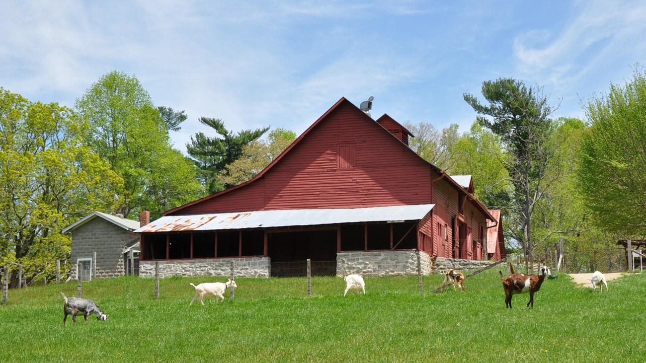 Connemara Farms barn and dairy goats