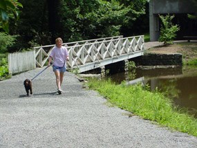 Visitor walking her dog on a 6ft. leash around the Front Lake at Carl Sandburg Home National Historic Site. Visitor walking her dog on a 6ft. leash around the Front Lake at Carl Sandburg Home National Historic Site.