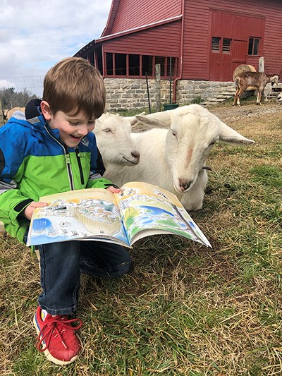 A young boy reads to a goat