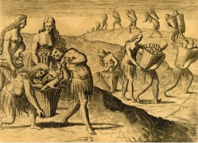 Drawing of an engraving of the Timucuan collecting food in baskets.