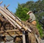 Spanish carpenters thatch a roof on an authentic Spanish Chosa Spanish carpenters thatch a roof on an authentic Spanish Chosa