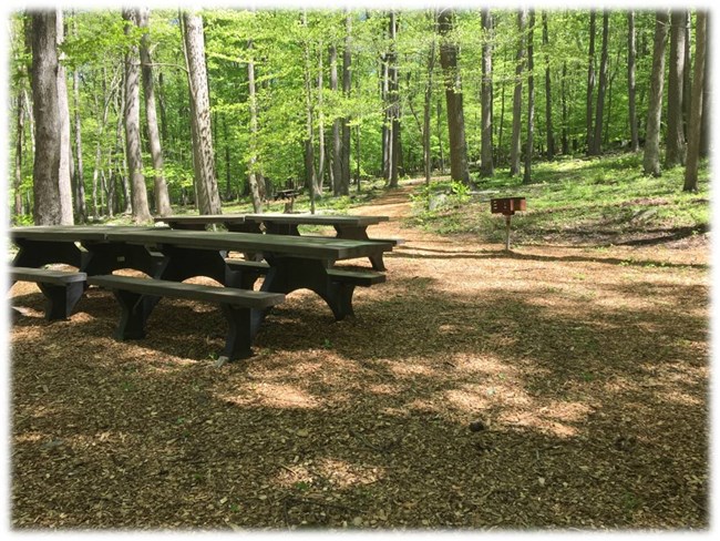 Owens Creek Picnic Area Image of picnic tables and grill at a picnic site